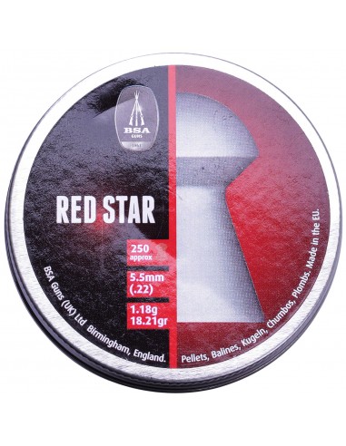 BSA Red Star 5,5 mm(.22) Dome